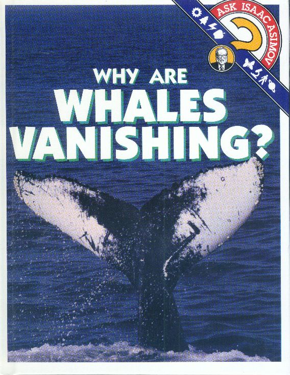 Why Are Whales Vanishing?